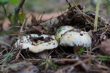 Similar image 22629522