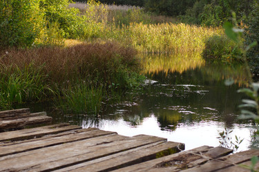 Similar image 22629524