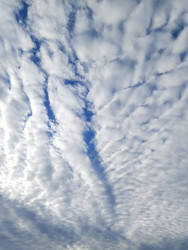 Similar image 22629525