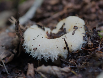 Similar image 22629528