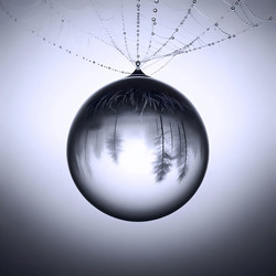 Similar image 22631424