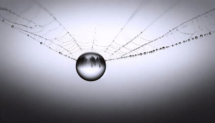 Similar image 22630901