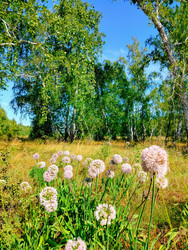Similar image 22631823