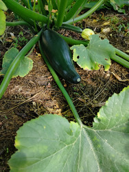 Similar image 22631824