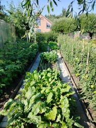 Similar image 22631830