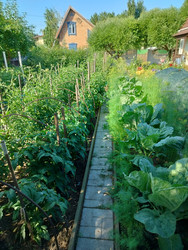 Similar image 22631876