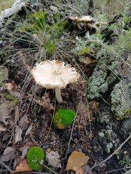 Similar image 22631877