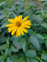 Similar image 22631881