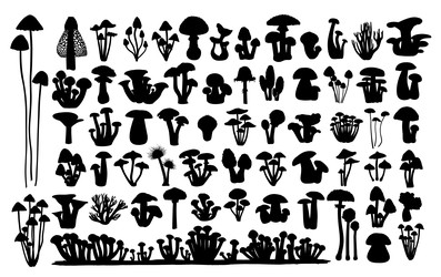 Similar image 22627873