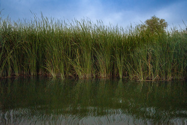 Similar image 22627976