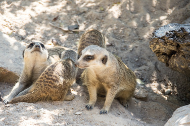 Similar image 22629802