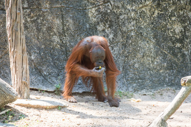 Similar image 22629820