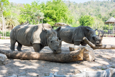 Similar image 22629832