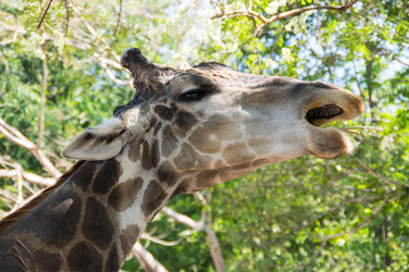 Similar image 22629834