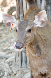 Similar image 22629836