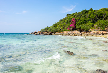 Similar image 22629852