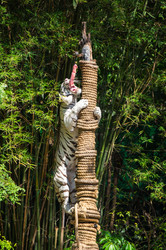 Similar image 22629884