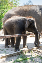 Similar image 22629885