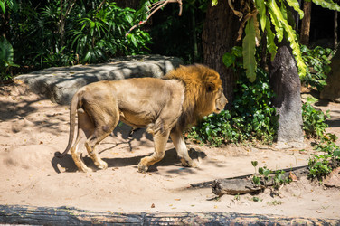 Similar image 22629886