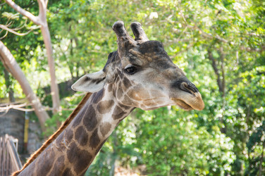 Similar image 22629898