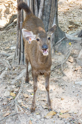 Similar image 22629902