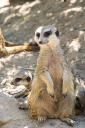 Similar image 22629903