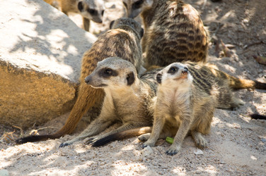 Similar image 22629904