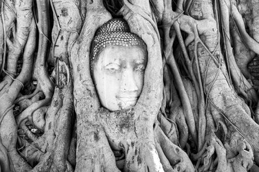 Similar image 22629906