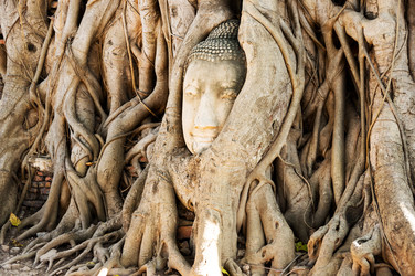 Similar image 22629907