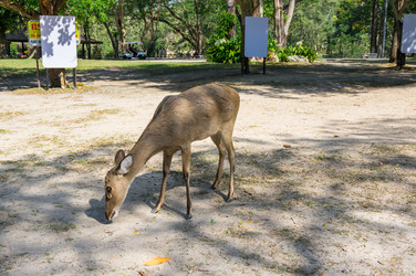 Similar image 22629908