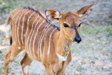 Similar image 22629915