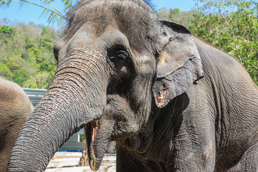 Similar image 22629918