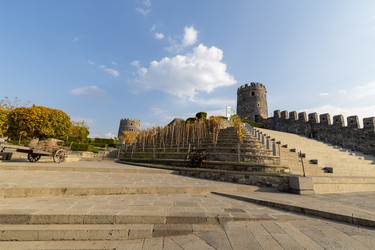 Similar image 22629922