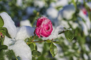 Similar image 22634292