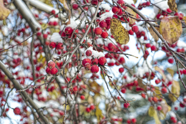 Similar image 22634308