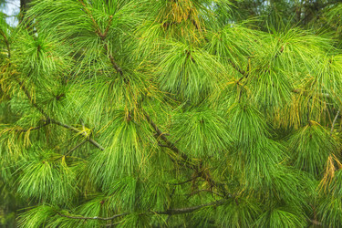 Similar image 22634309