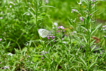 Similar image 22634310