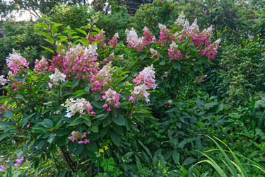 Similar image 22634311