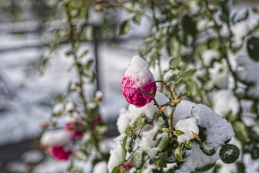 Similar image 22634313