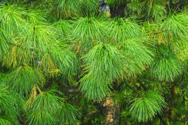 Similar image 22634314