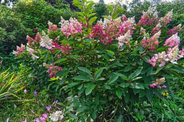 Similar image 22634315