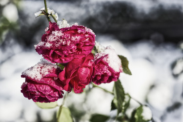 Similar image 22634316