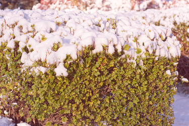 Similar image 22634317