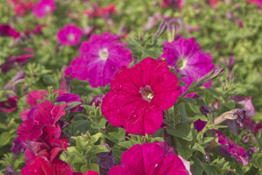 Similar image 22634318