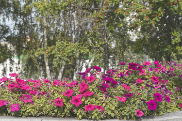 Similar image 22634320