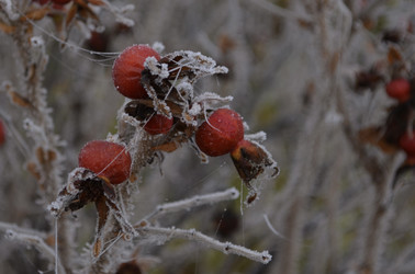 Similar image 22632223