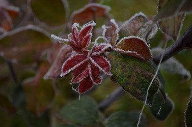 Similar image 22632230