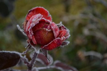 Similar image 22632231