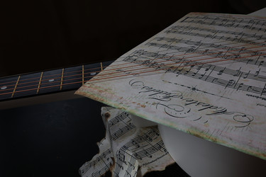 Similar image 22628038