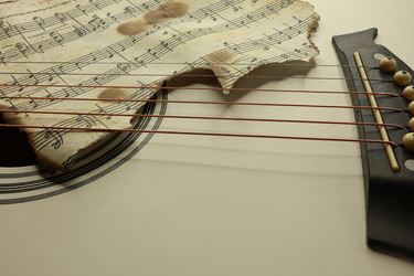 Similar image 22628041